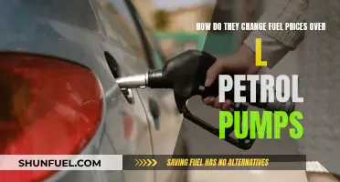 Fuel Prices: Dynamic Changes at the Pump