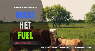 From Farm to Flame: How Cows Power Green Heat Fuel