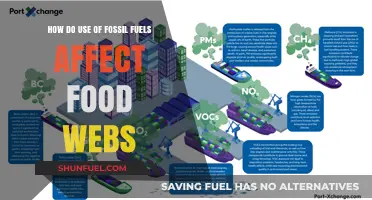 Fossil Fuels: Disrupting Food Webs and Our Planet