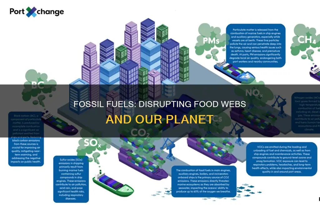how do use of fossil fuels affect food webs