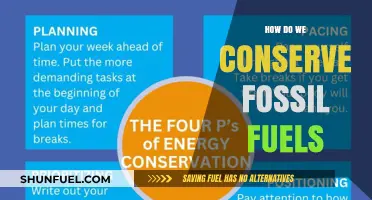 Conserving Fossil Fuels: Strategies for a Sustainable Future