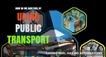 Save Fuel, Go Green: The Power of Public Transport