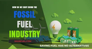 Ending Fossil Fuels: Strategies for a Green Revolution