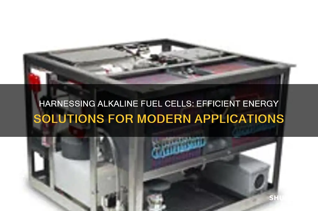 how do we use alkaline fuel cells