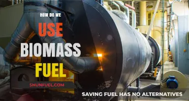 Harnessing Biomass Fuel: Sustainable Energy Solutions for a Greener Future