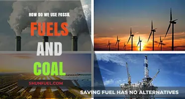 Fossil Fuels and Coal: Powering Our World