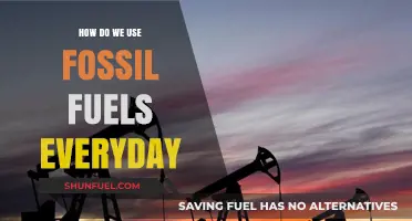 Daily Dependence: How Fossil Fuels Power Our Everyday Lives