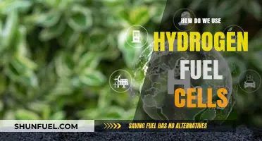 Harnessing Hydrogen: How Fuel Cells Power a Sustainable Future