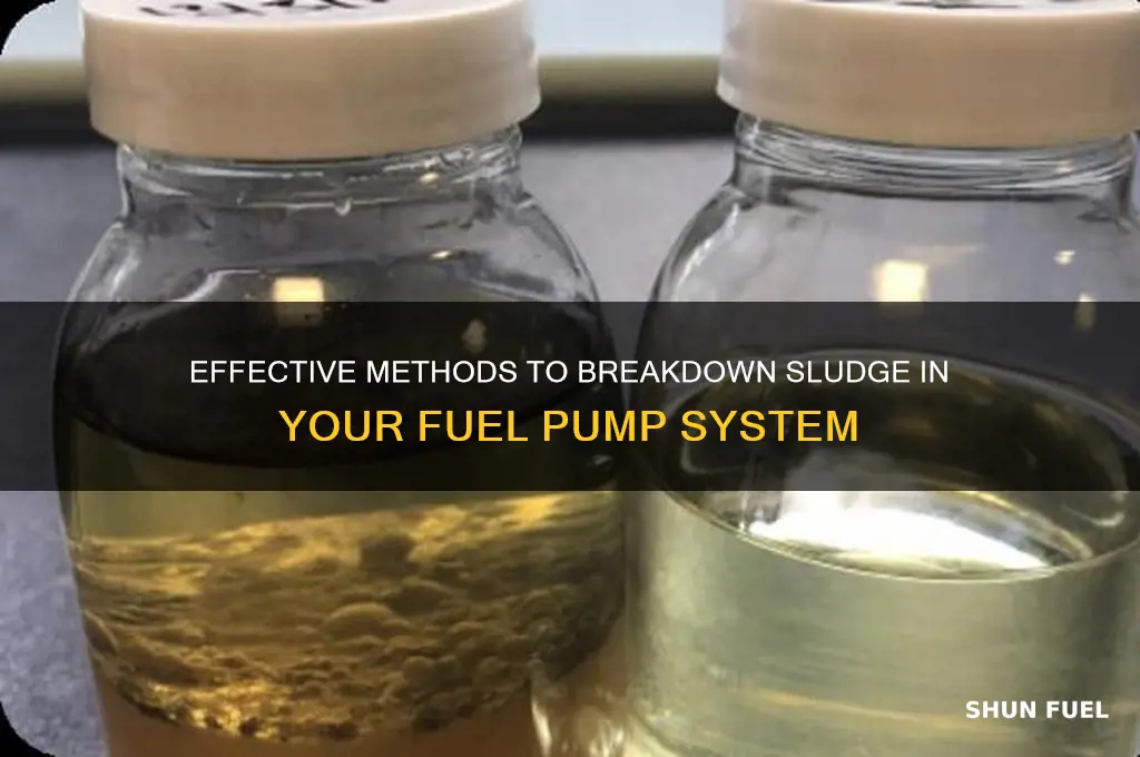 how do you breakdown sludge in fuel pump