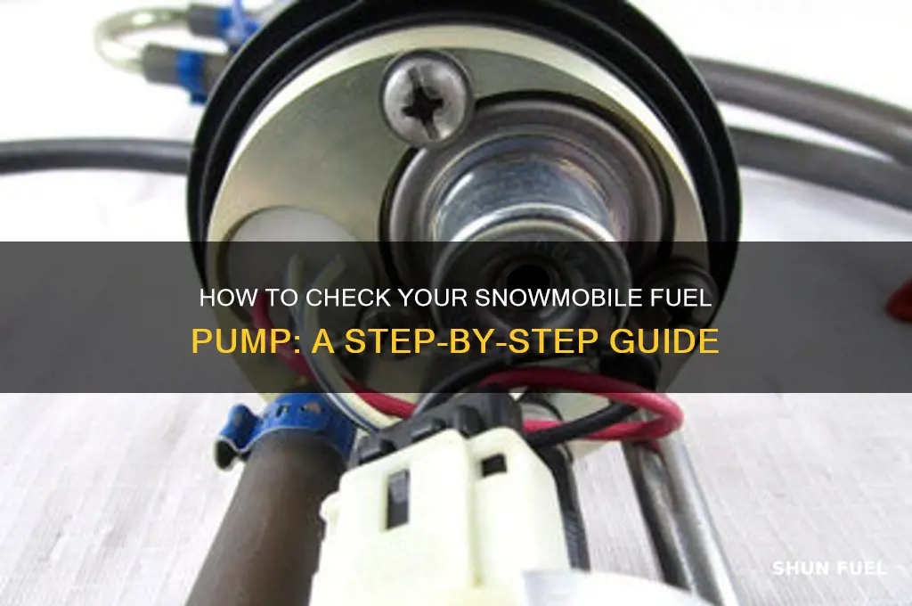 how do you check a snowmobile fuel pump