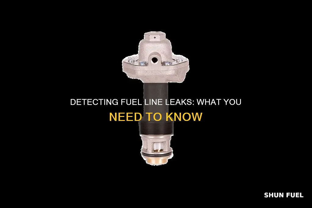 how do you check for fuel lines leaks