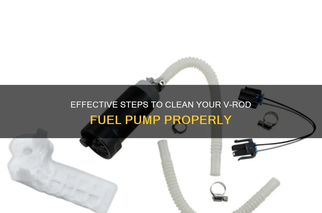how do you clean a vrod fuel pump