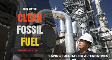 Cleaning Fossil Fuels: Techniques for a Greener Future