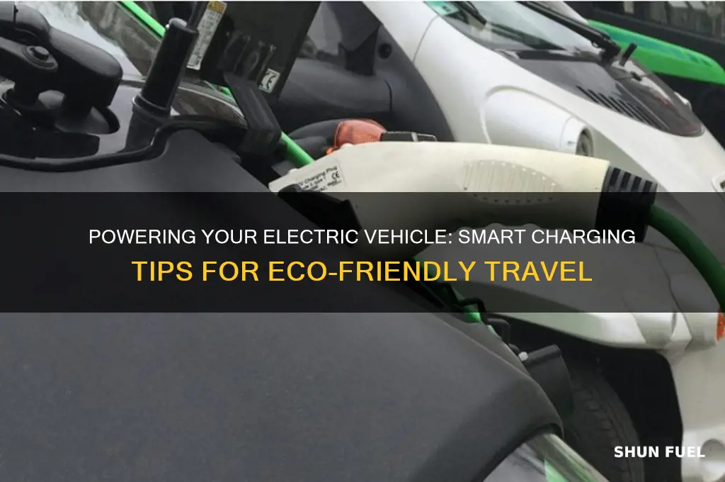 how do you fuel carelectric