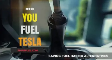 Powering Your Tesla: Efficient Charging Tips and Energy Sources