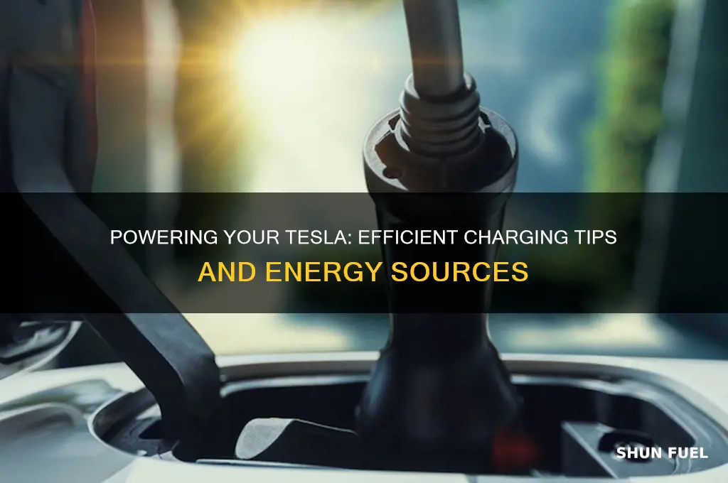 how do you fuel tesla