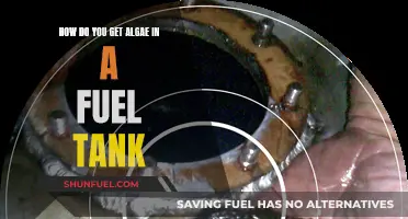 Fuel Tank Algae: Causes and Prevention