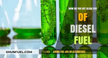 Removing Algae from Diesel Fuel: Effective Techniques