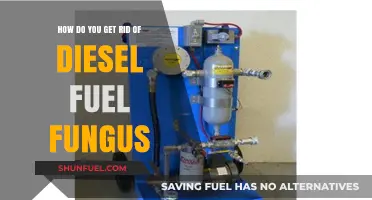 Eradicating Diesel Fuel Fungus: Effective Strategies to Implement