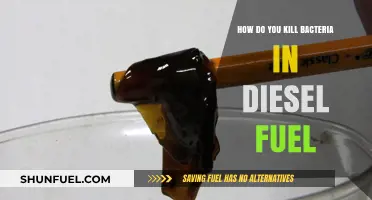 Killing Bacteria in Diesel: Effective Methods and Best Practices