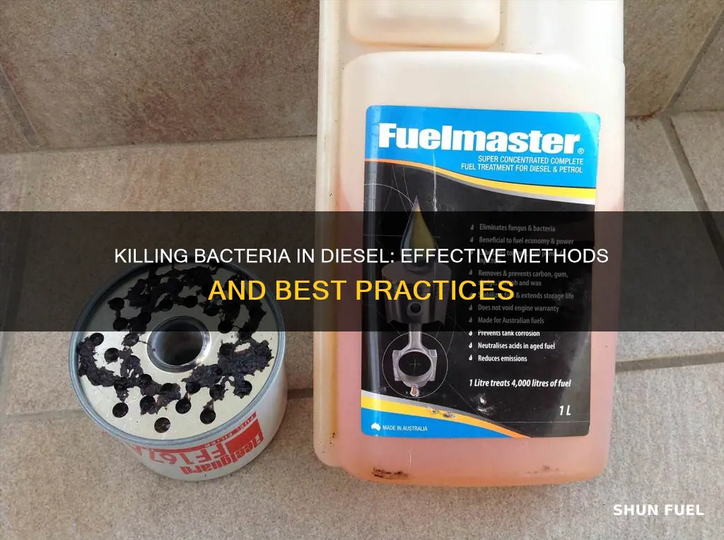 how do you kill bacteria in diesel fuel