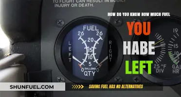 Fuel Gauge: Knowing Your Vehicle's Fuel Level