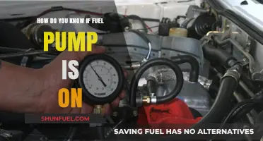 Is Your Fuel Pump On? Quick Signs to Check and Confirm