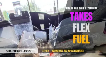 Flex Fuel: Identifying Your Car's Compatibility