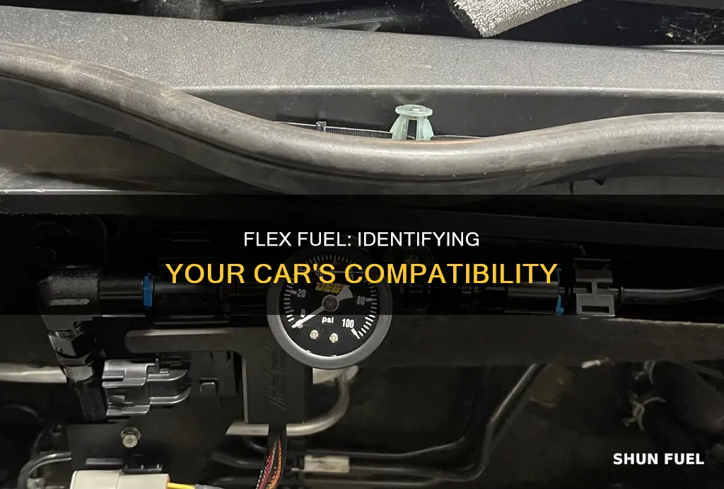 how do you know if your car takes flex fuel