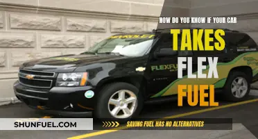 Flex Fuel and Your Car: Know the Compatibility