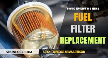 Signs Your Car Needs a Fuel Filter Change: Expert Tips