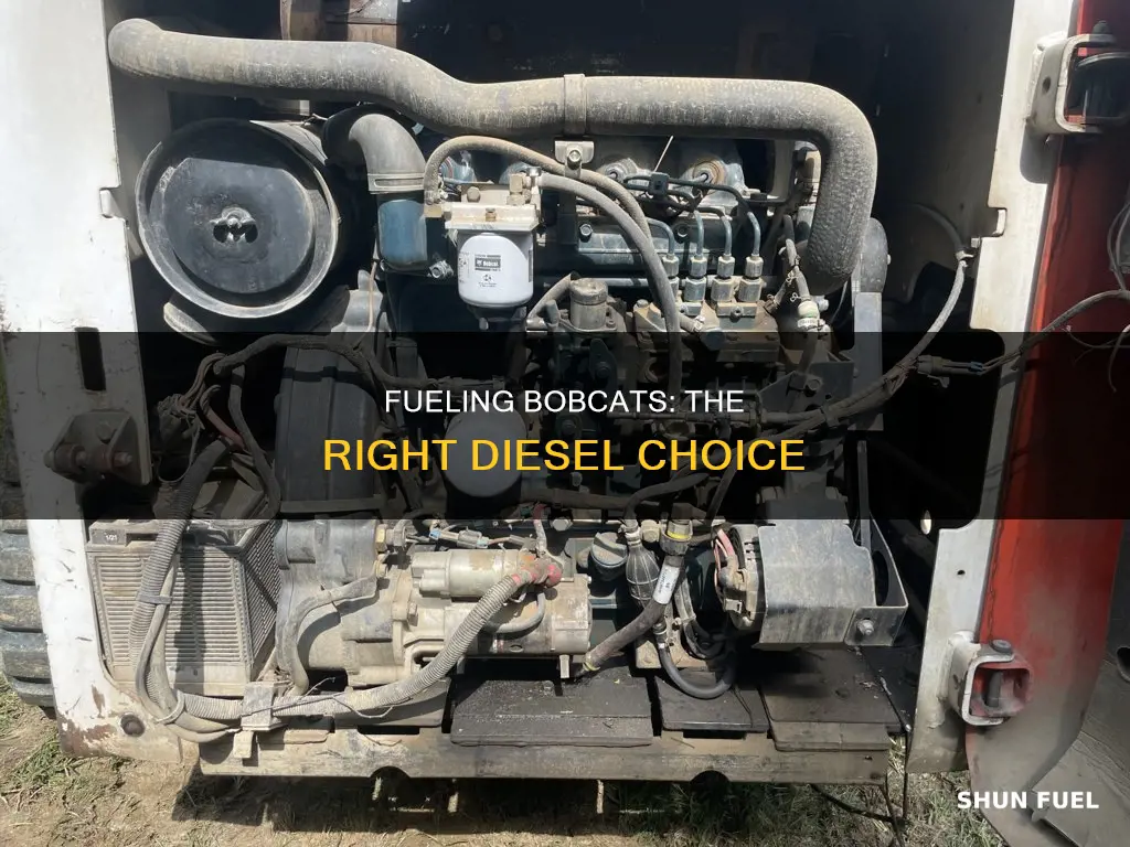 how do you put diesel fuel in bobcat
