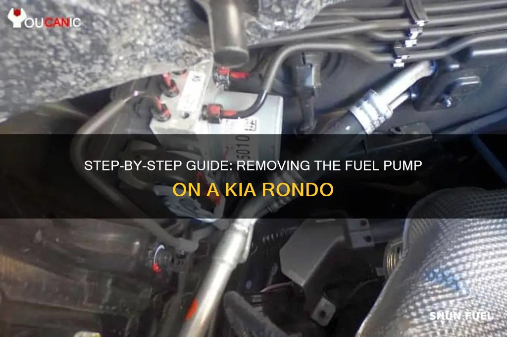 how do you remove fuel pump on a kia rondo