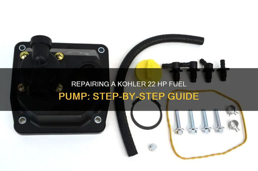 how do you repair kotler 22 hp fuel pump