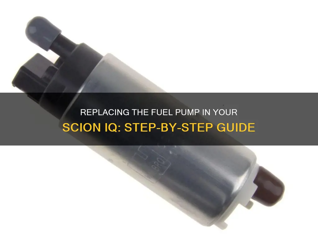 how do you replace fuel pump scion iq