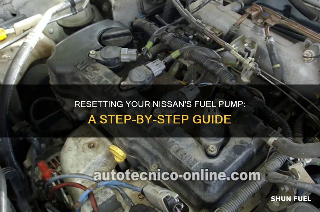 how do you reset the fuel pump on a nissan
