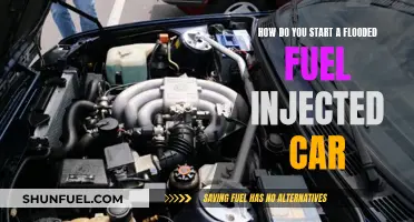 Fuel-Injected Flood: Getting Your Car Back on the Road