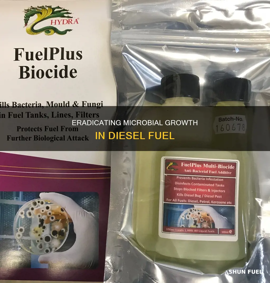 how do you treat microbial growth in diesel fuel