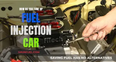 Mastering Fuel Injection: A Guide to Tuning Up Your Car's Performance