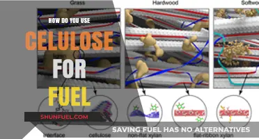 Harnessing Cellulose: A Sustainable Path to Renewable Fuel Production
