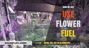 Maximize Your Garden's Potential: Effective Flower Fuel Usage Tips