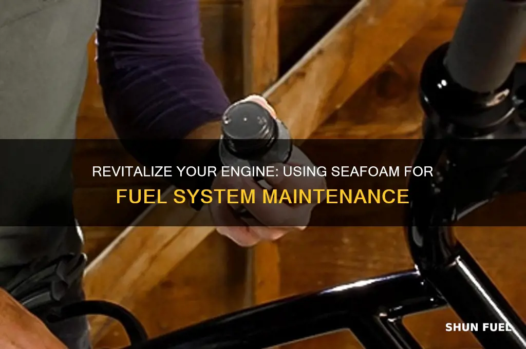 how do you use seafoam for fuel fuel