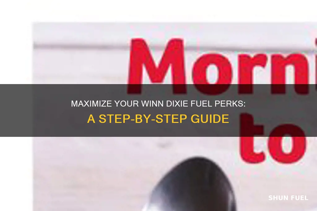 how do you use winn dixie fuel perks