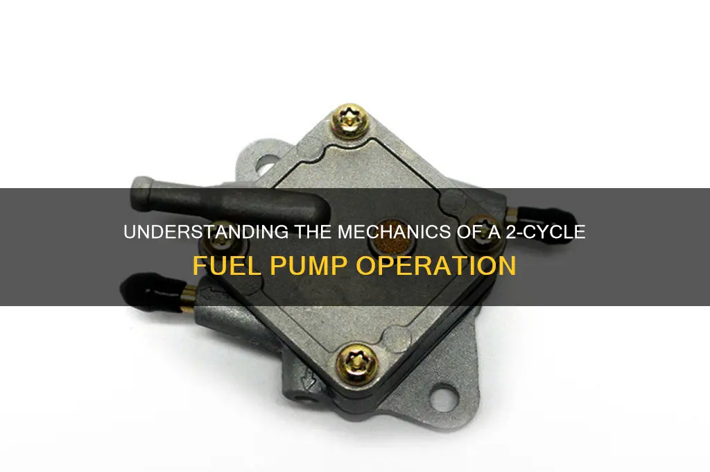 how does a 2 cycle fuel pump work