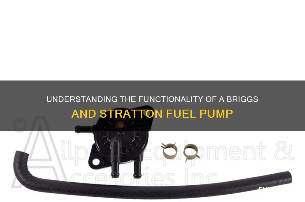 how does a briggs and stratton fuel pump work
