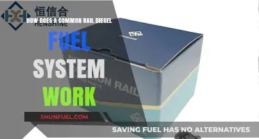 Understanding the Common Rail Diesel Fuel System
