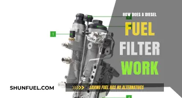 Understanding Diesel Fuel Filters: Their Function and Importance