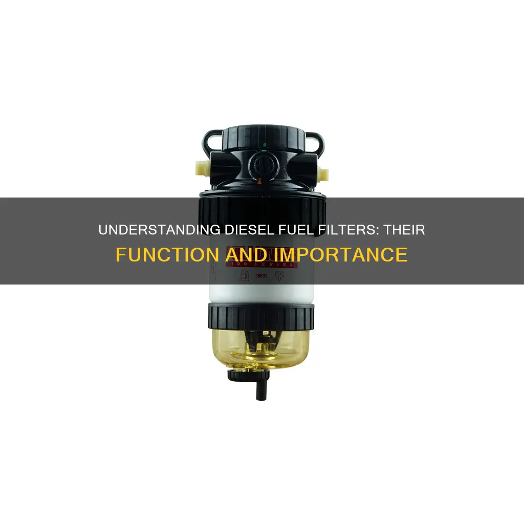 how does a diesel fuel filter work
