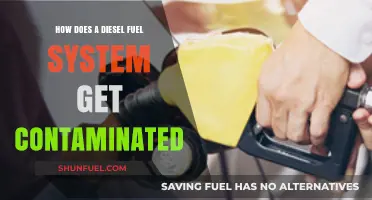 Diesel Fuel System Contamination: Causes and Prevention