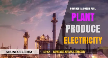 Fossil Fuel Power Plants: Electricity Generation Process Explained